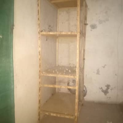cage 3 step
