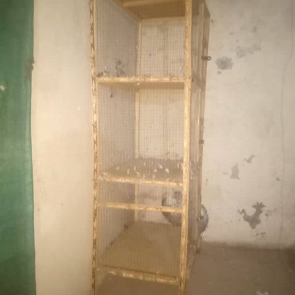 cage 3 step 0
