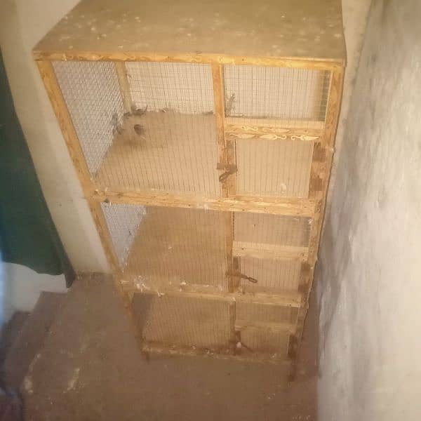 cage 3 step 1