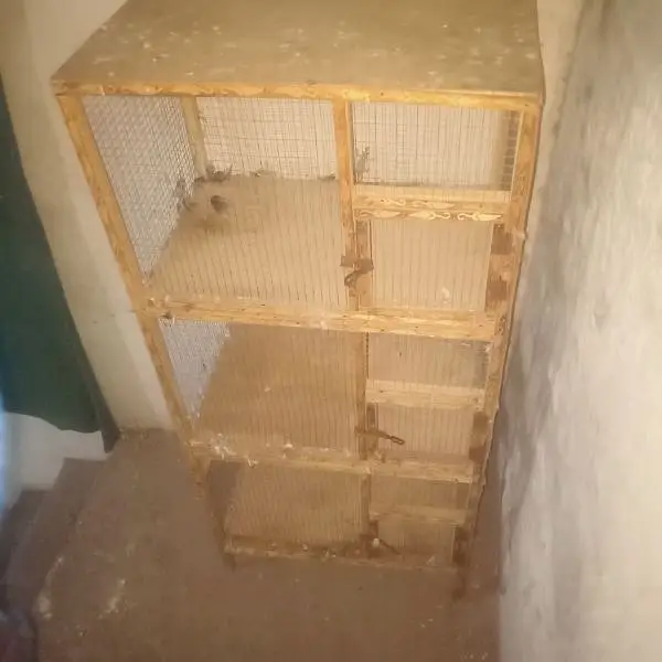 cage 3 step — photo 2
