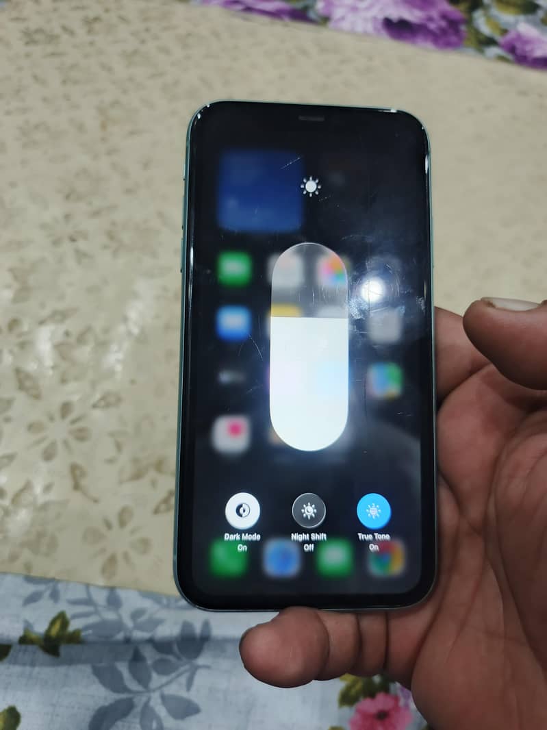 Apple iPhone 11 1