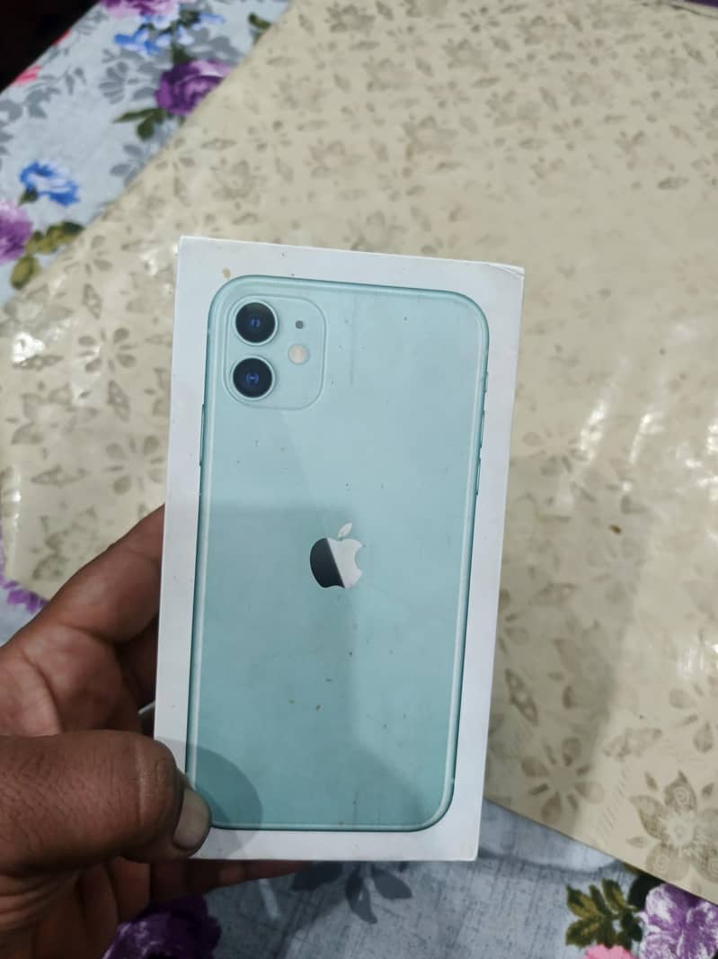 Apple iPhone 11 0