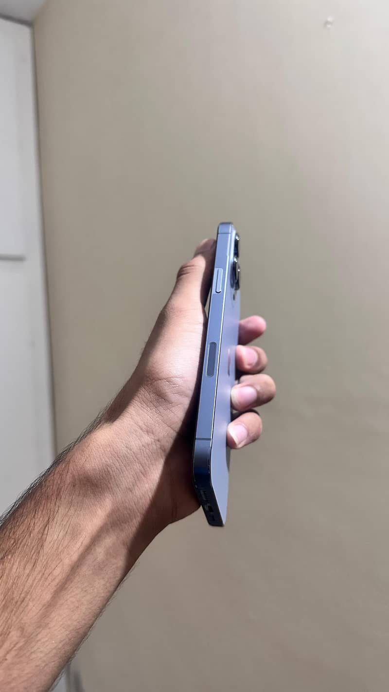 Apple iPhone 13 Pro Max 1
