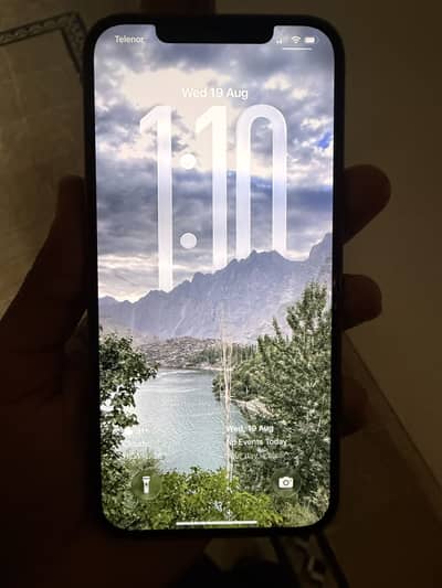 Apple iPhone 12 Pro Max