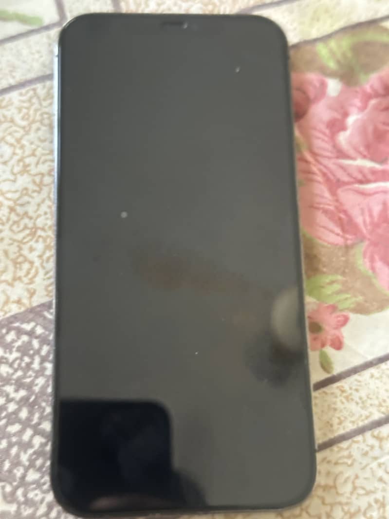 Apple iPhone 12 Pro Max 1