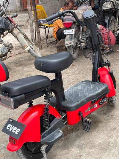 brand new evee flipper