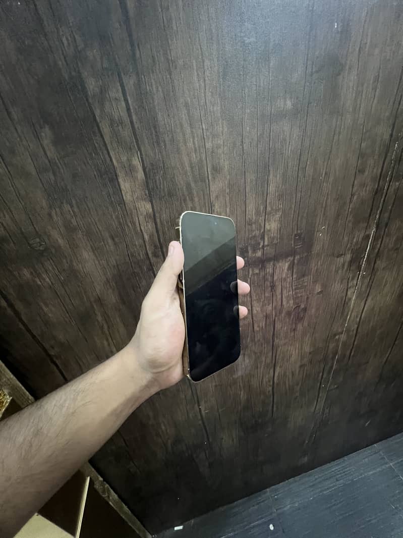 Apple iPhone 14 Pro Max 1