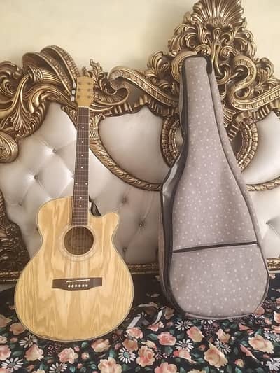 Acoustic Guitar with Water Proof Bag