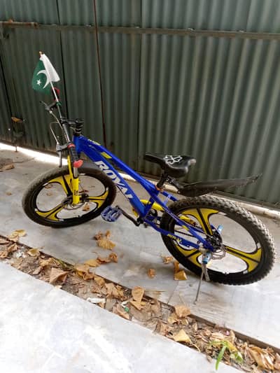 sport cycle