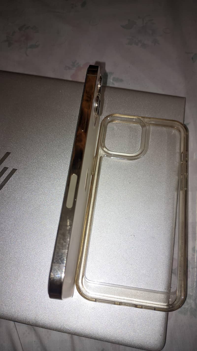 Apple iPhone 12 Pro Max 2