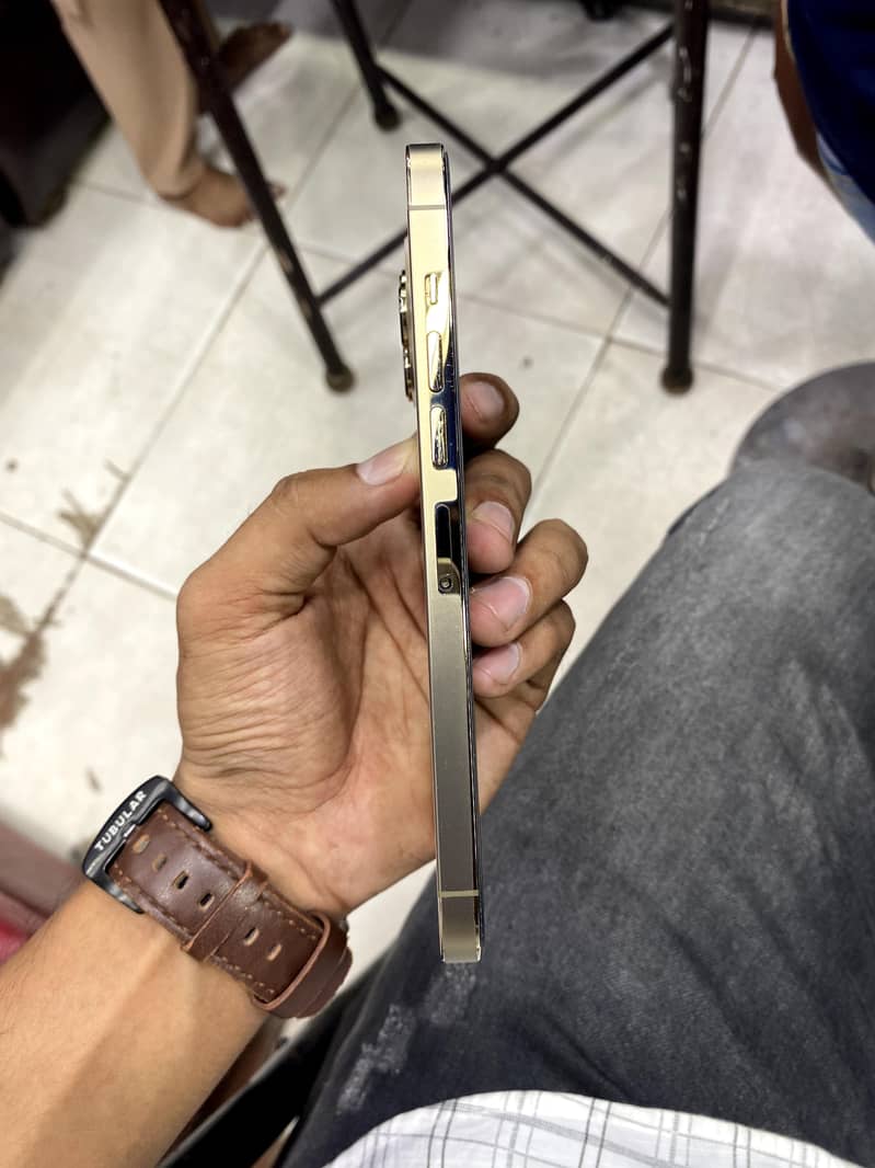 Apple iPhone 13 Pro Max 1