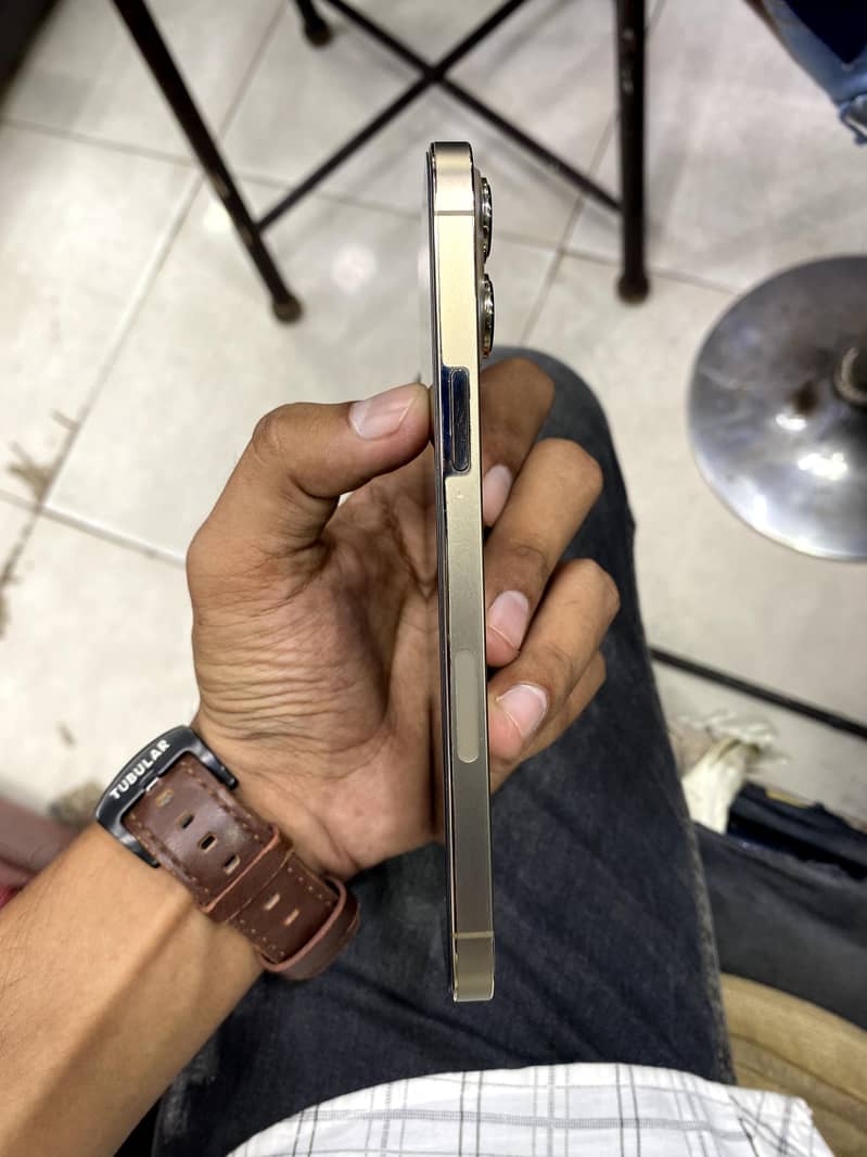 Apple iPhone 13 Pro Max 2