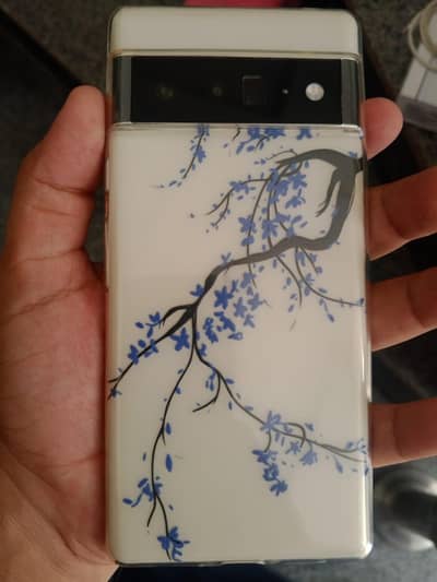 Google Pixel 6 Pro PTA approved