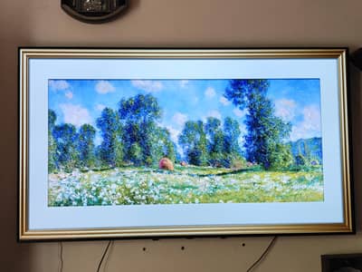 LG OLED C1  65 inch
