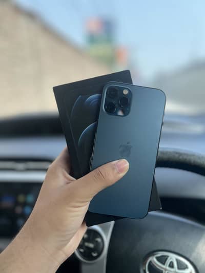 iPhone12Pro non pta FU 256 gb 86bh with box just panel change
