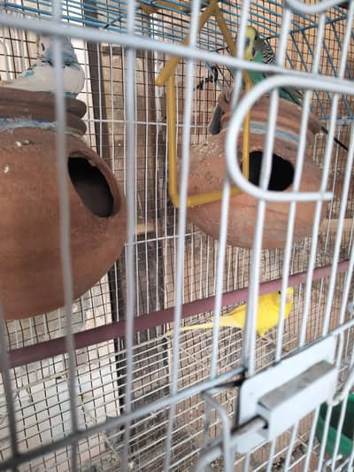 urgent sale