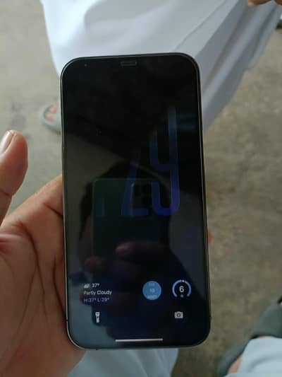 Apple iPhone 12 Pro Max