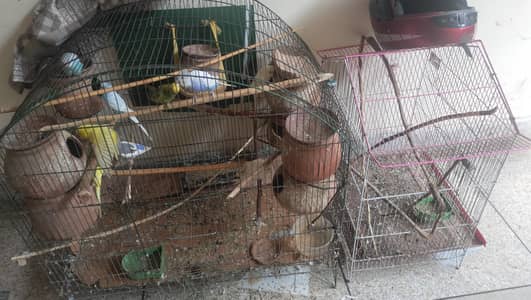 Cages( pinjra)
