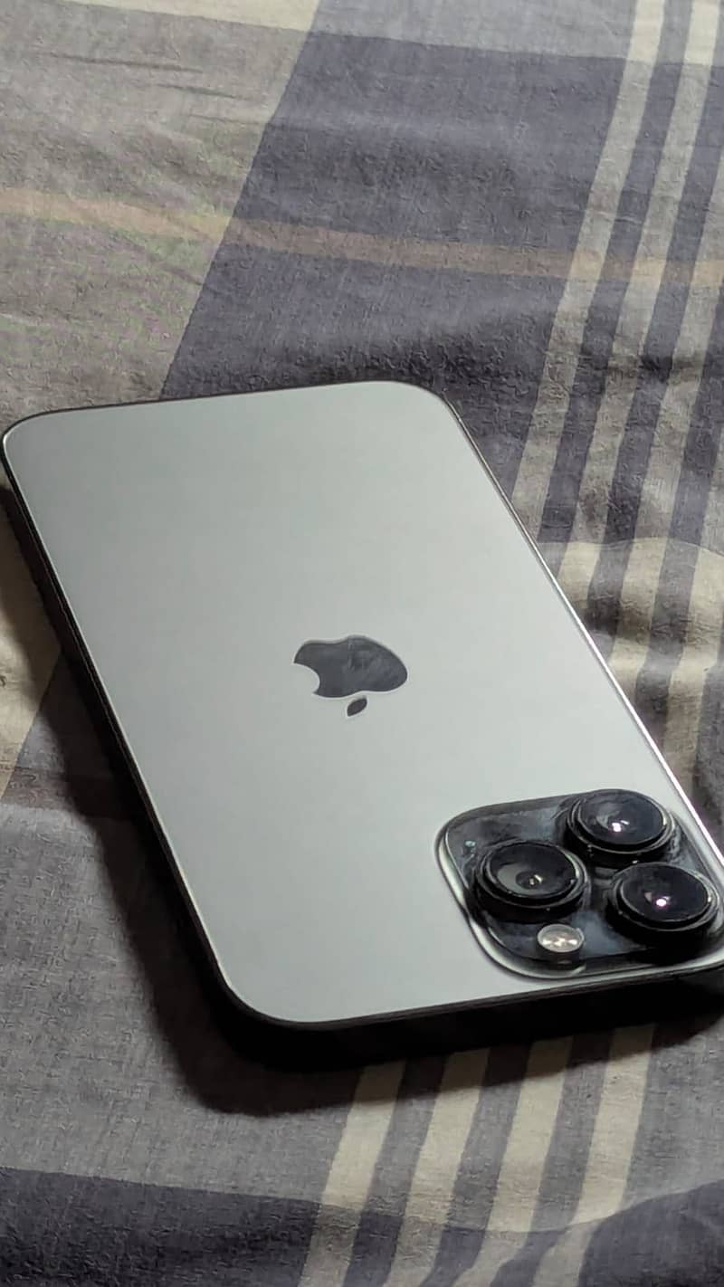 Apple iPhone 13 Pro Max 1