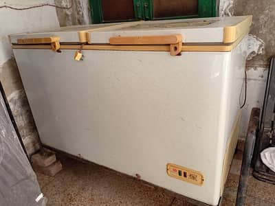 Dalliance Deep freezer