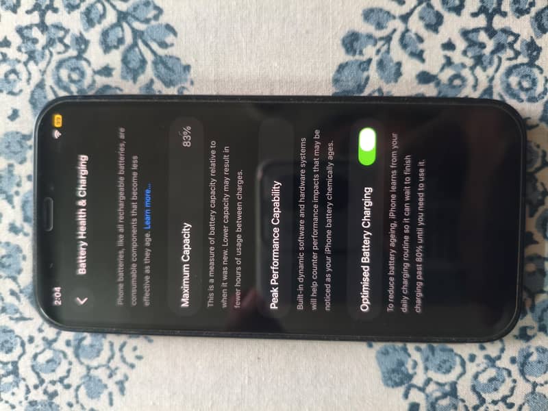 Apple iPhone 12 mini 1