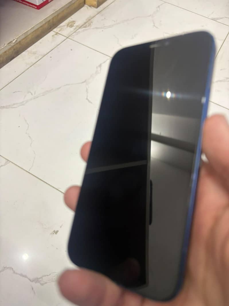Apple iPhone 12 1