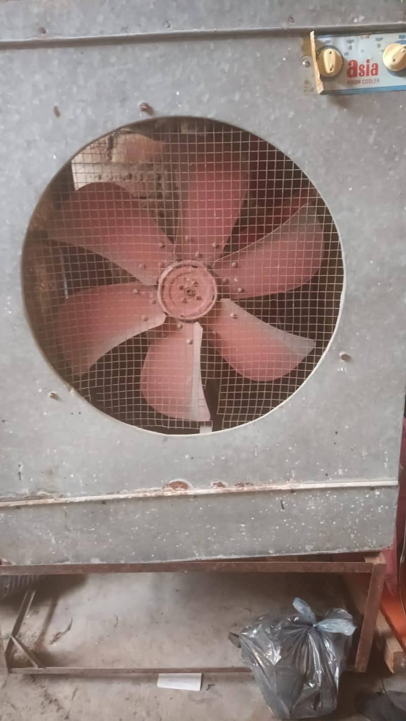 good Colling  1