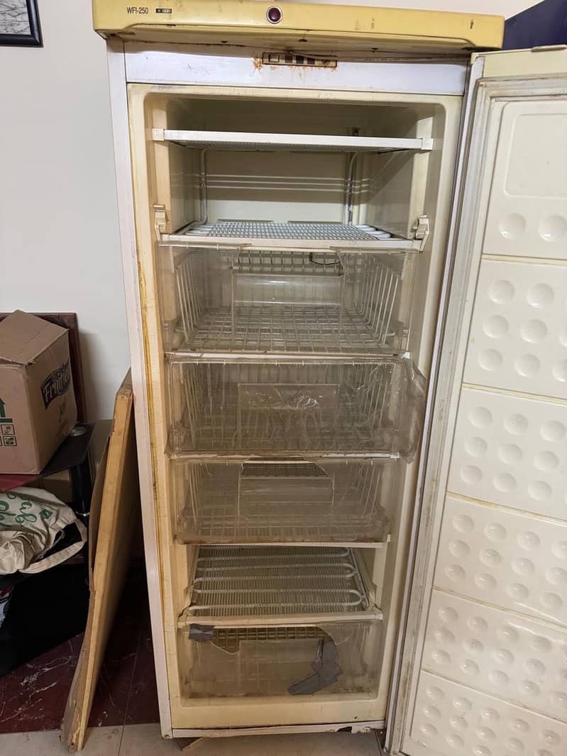 freezer 1
