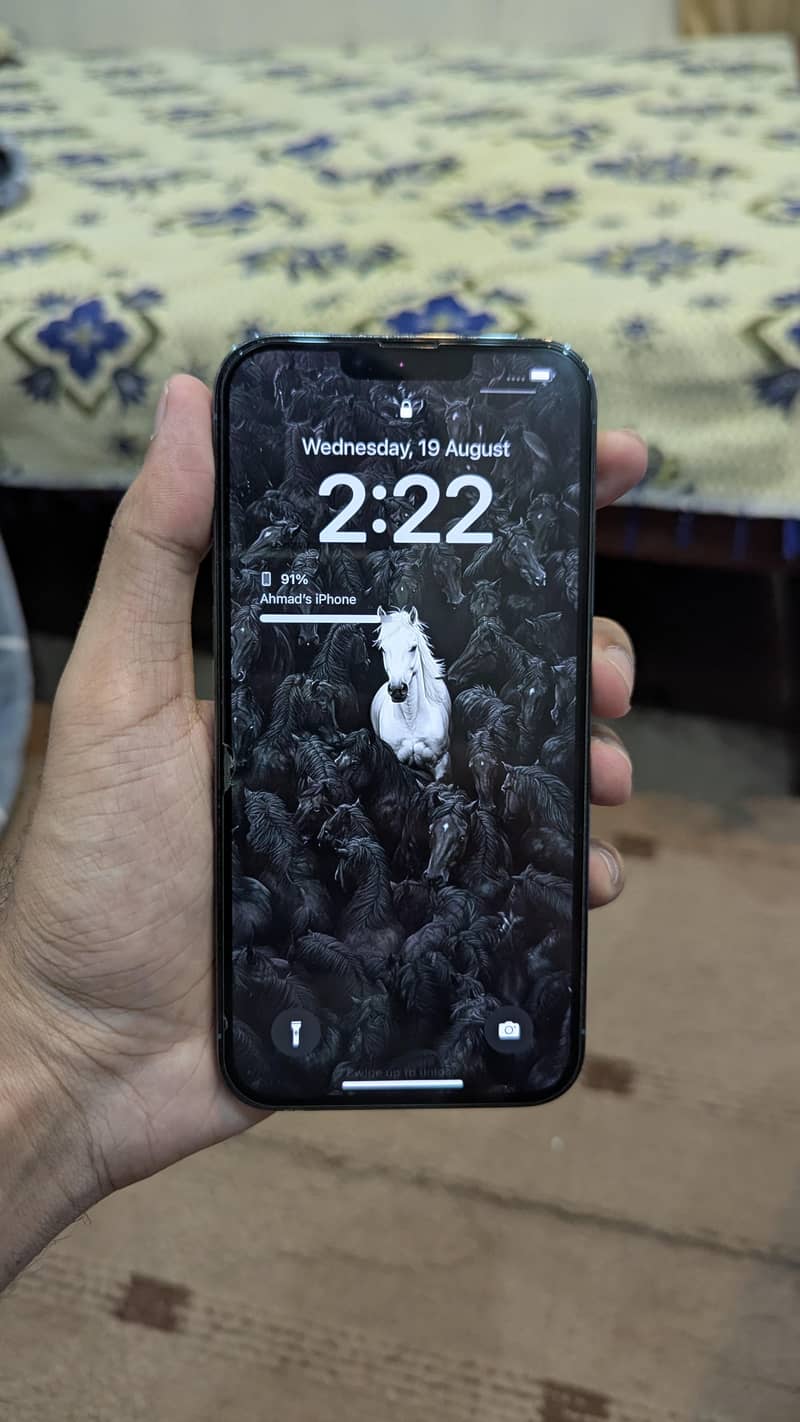 Apple iPhone 13 Pro Max 1