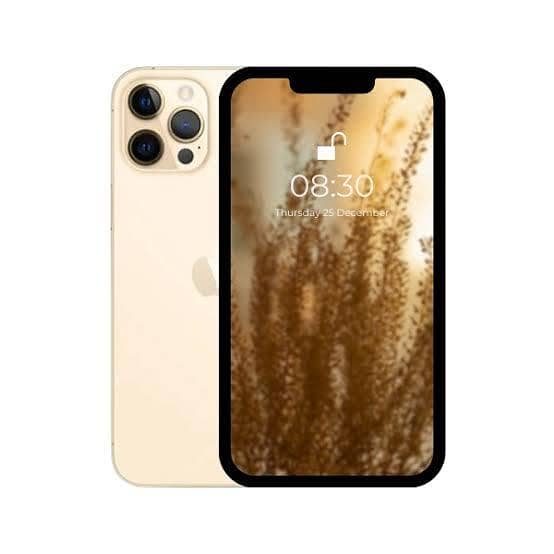 Apple iPhone 11 Pro 1