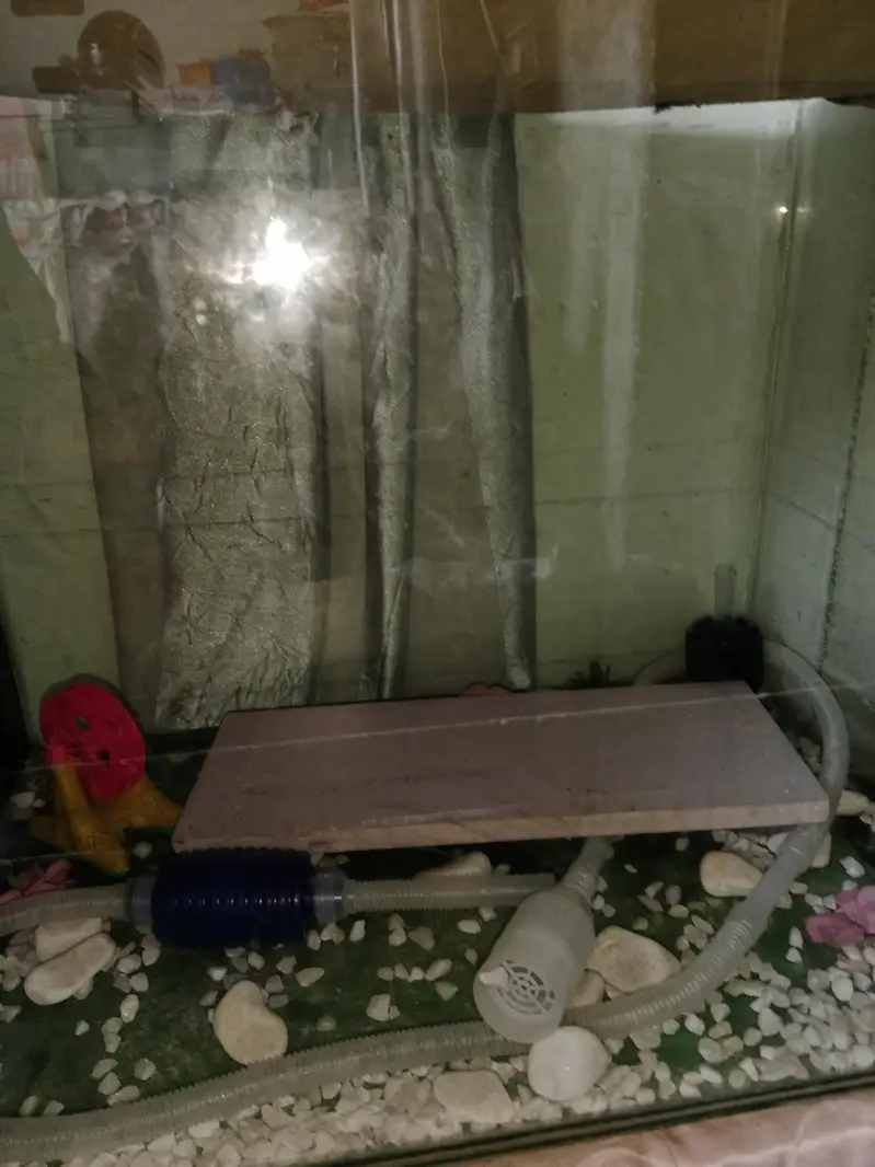 aquarium
