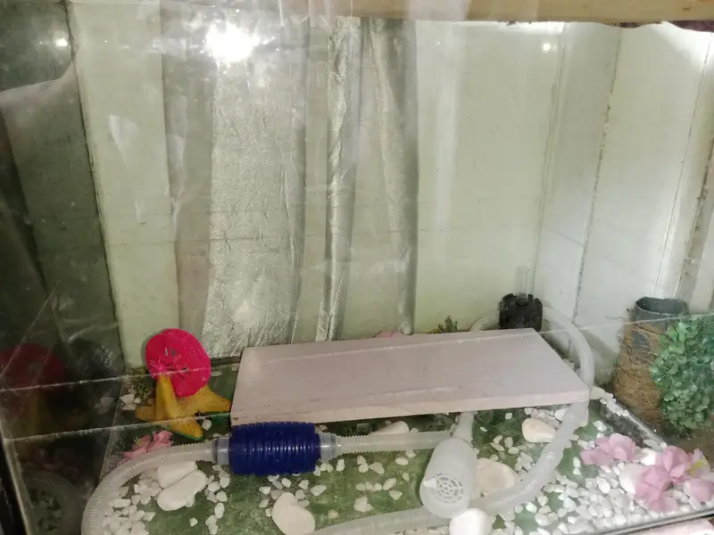 aquarium — photo 2