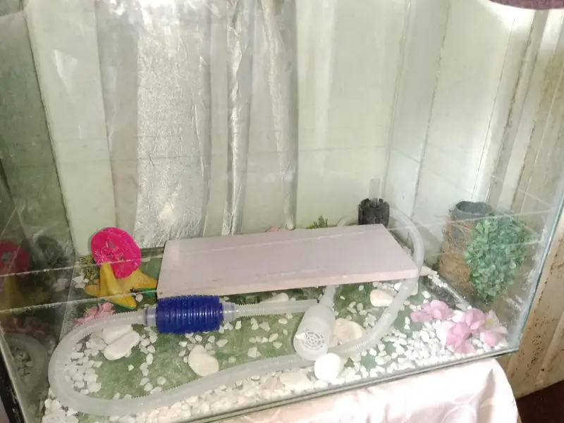 aquarium — photo 3