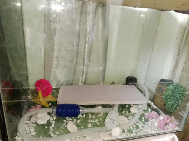 aquarium — photo 4