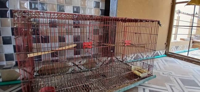 2 portion Cage. for sale 3x1.5
