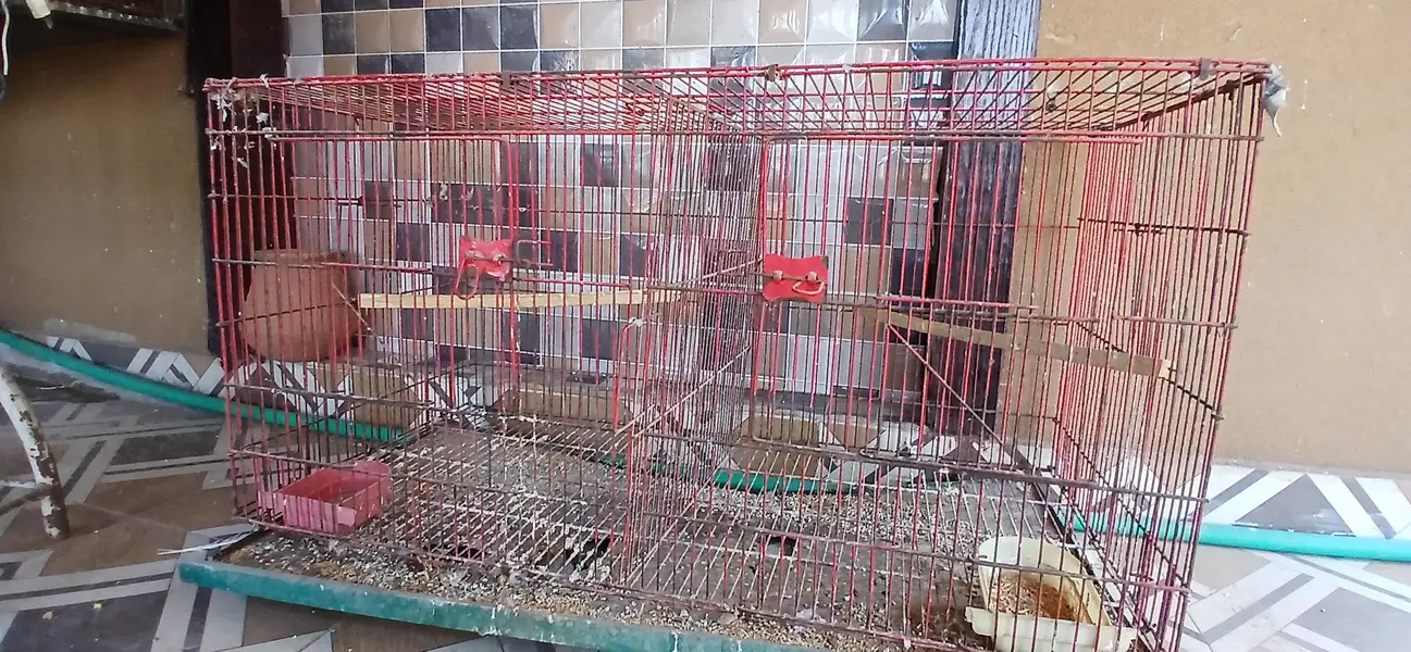 2 portion Cage. for sale 3x1.5 — photo 2