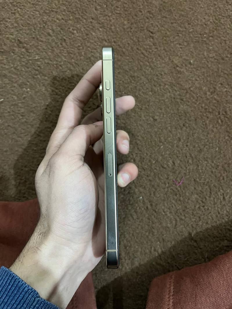 Apple iPhone 16 Pro Max 2