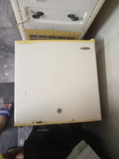 waves fridge