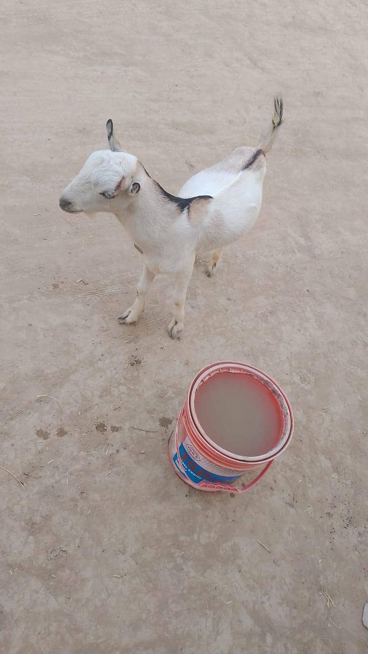 ablak 3