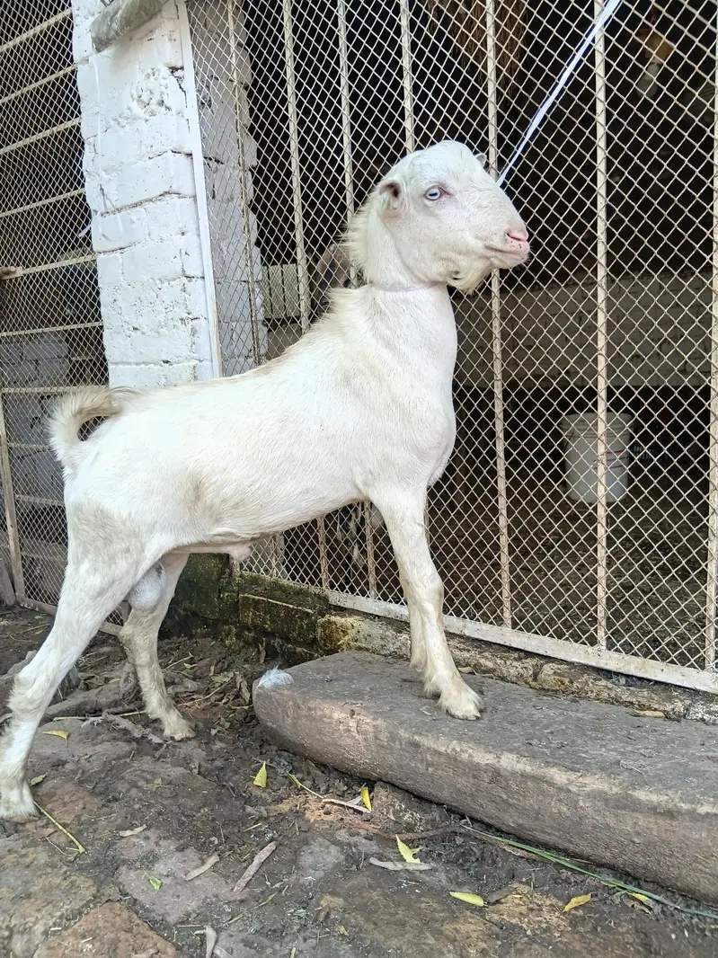 ablak — photo 7