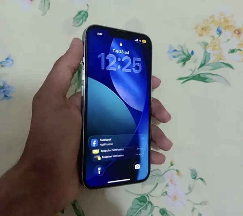 Apple iPhone 13 Pro 1