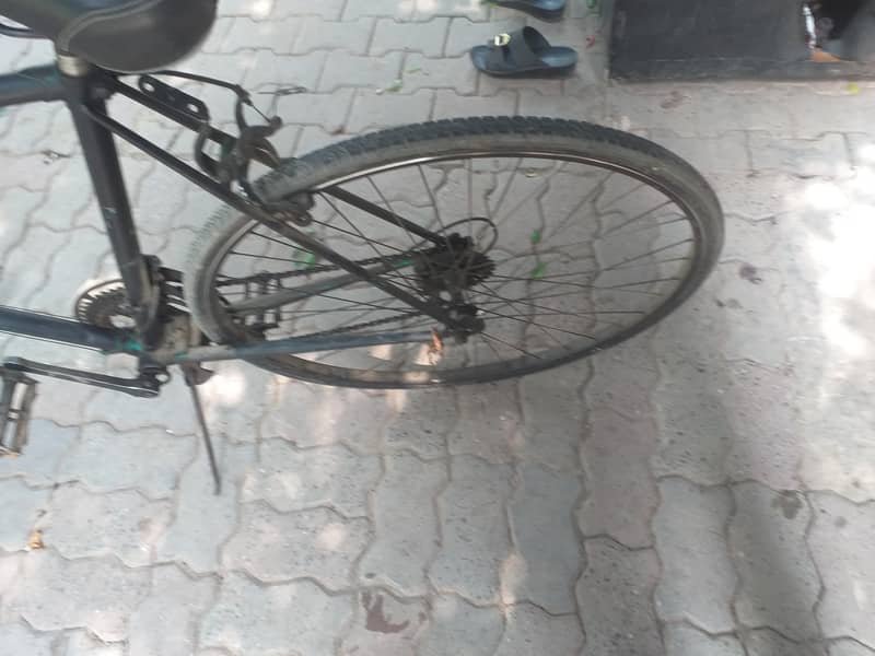 cycle 2