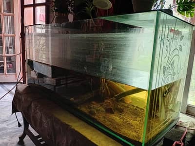 3fit by 2.5fit 8mm glass aquarium all ok no issue just like new