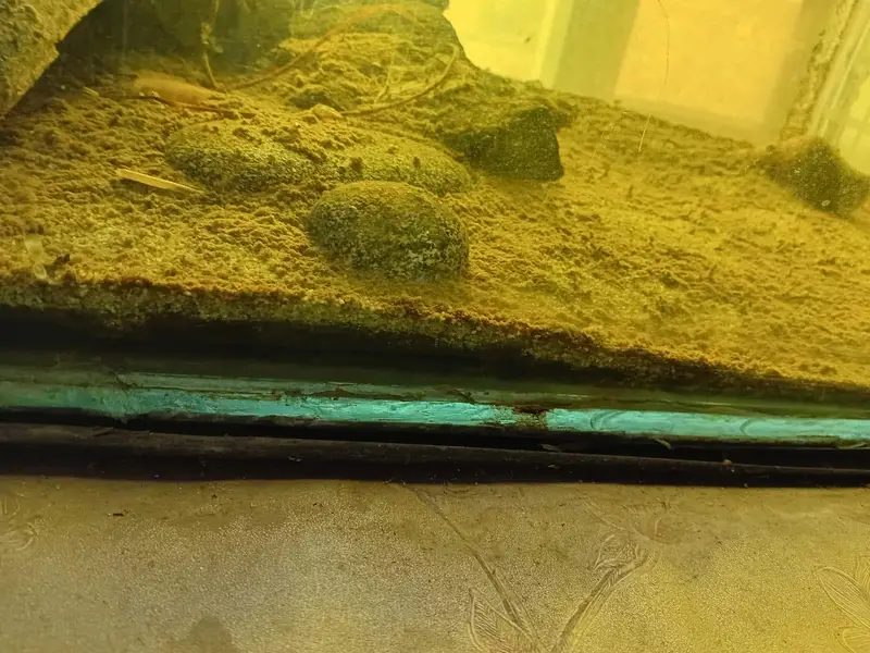 3fit by 2.5fit 8mm glass aquarium all ok no issue just like new — photo 4