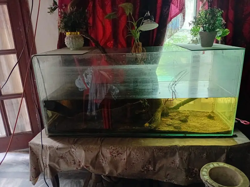 3fit by 2.5fit 8mm glass aquarium all ok no issue just like new — photo 6