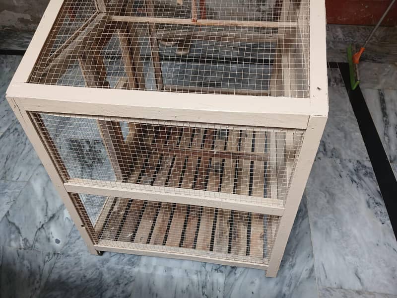 bird cage 4