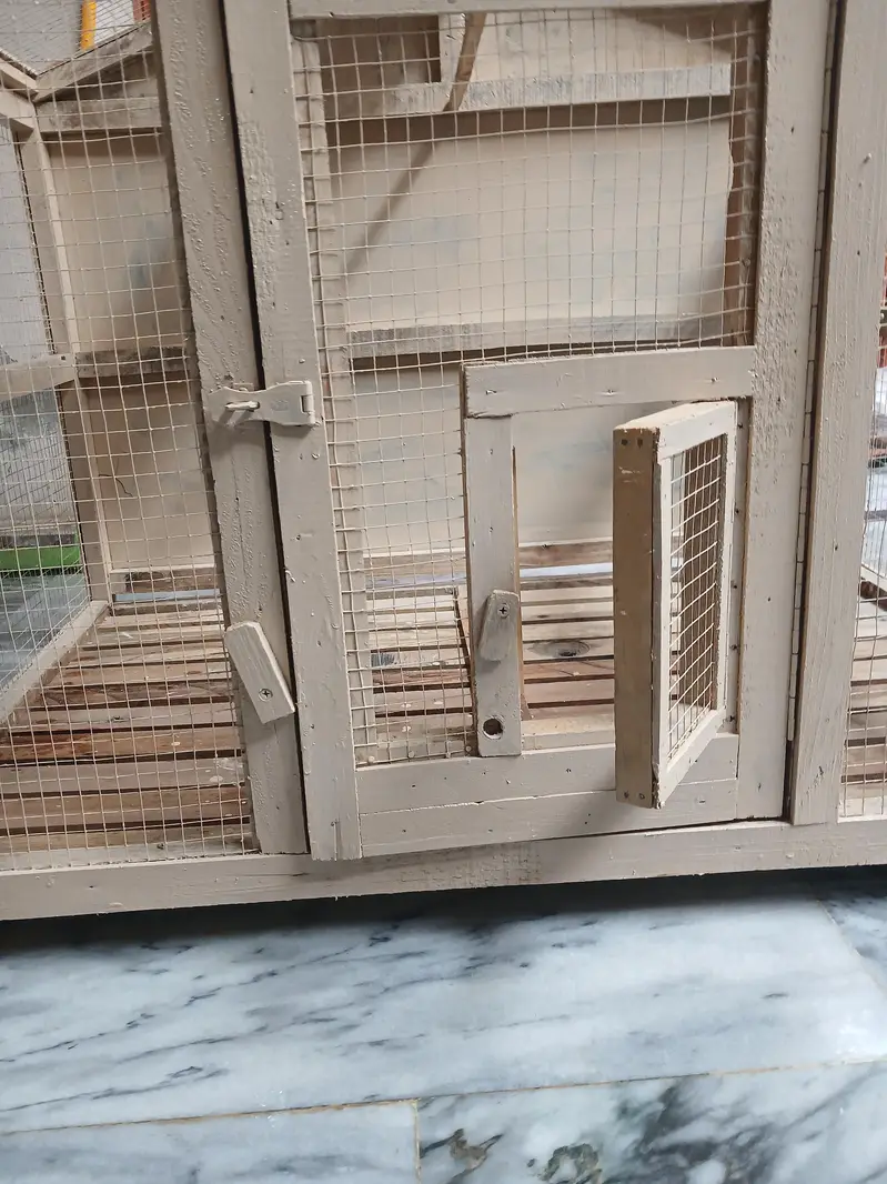 bird cage — photo 3
