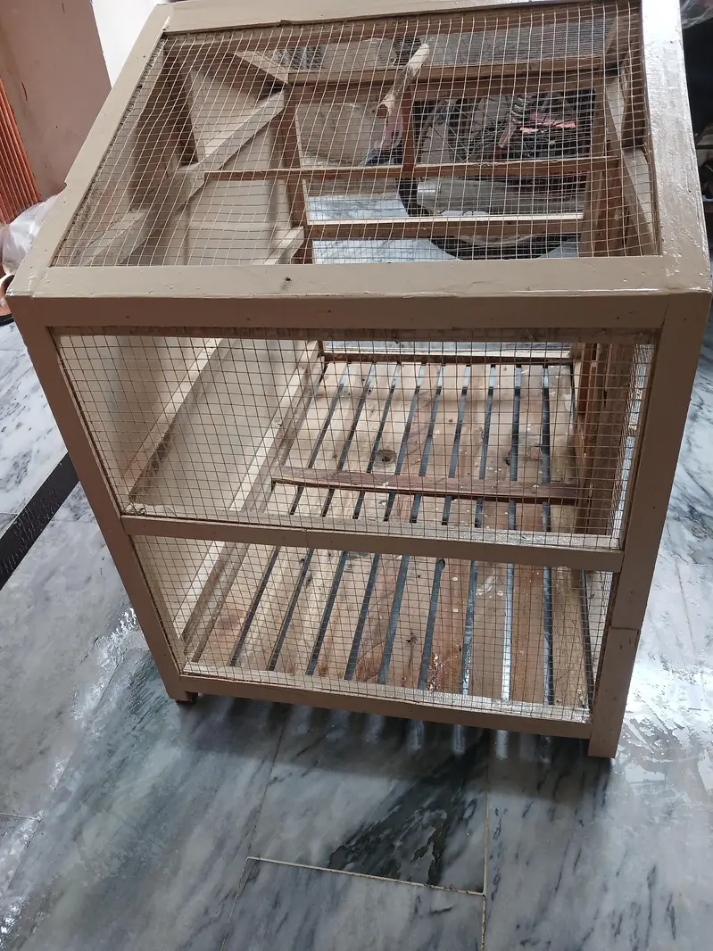 bird cage — photo 4