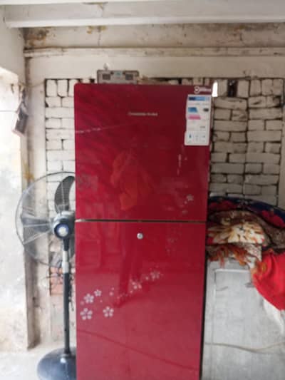 contact 03167313082