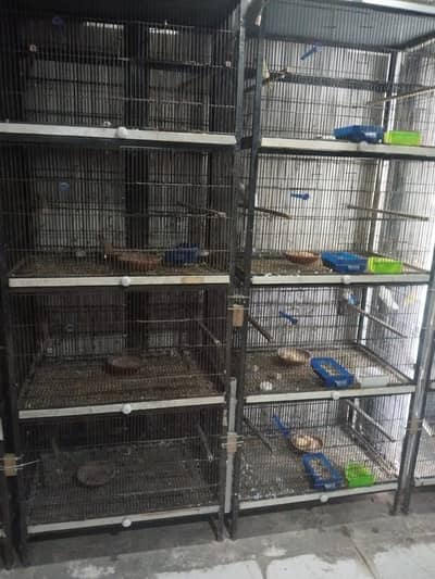 Birds Cage for Lovebirds Budgries